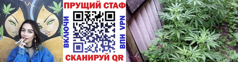 Названия наркотиков Дно Канабис COCAIN Альфа ПВП Псилоцибиновые грибы Гашиш