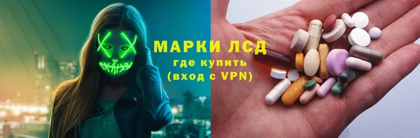 индика Медногорск