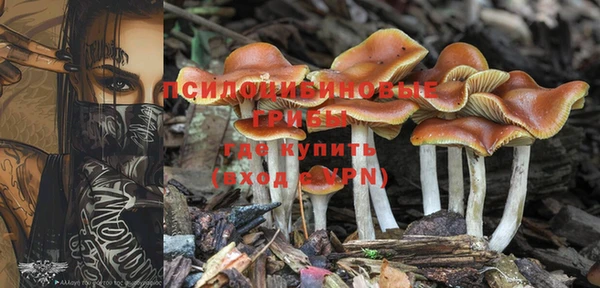 герыч Медвежьегорск