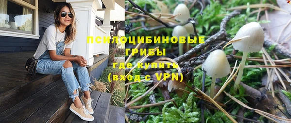 индика Медногорск