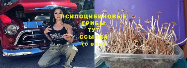 мет Мегион