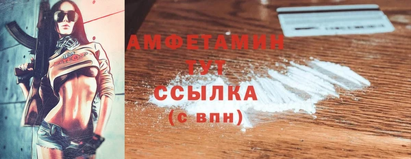 индика Медногорск