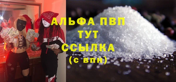 индика Медногорск